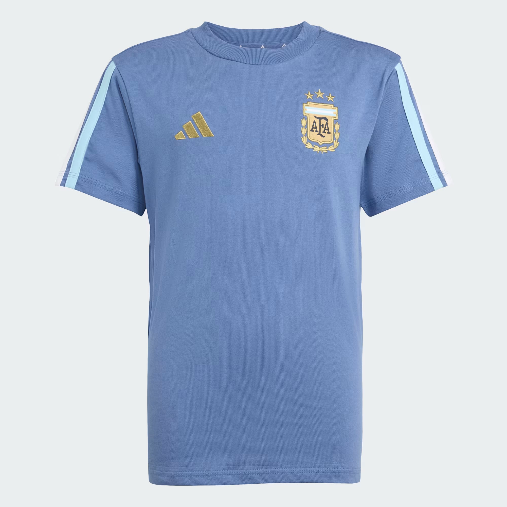 Jersey Argentinien Retro II