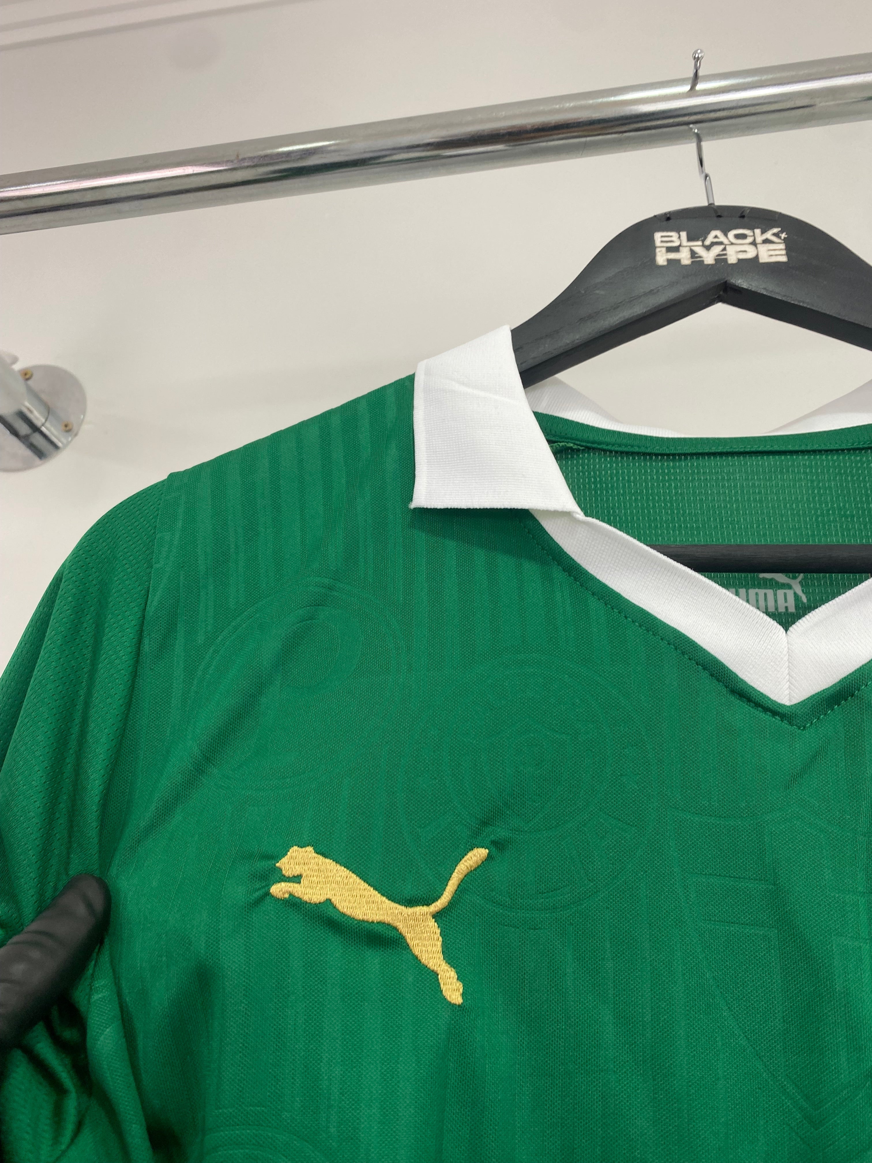 Trikot do Palmeiras Home 24/25 s/n° Torcedor Masculino - Verde
