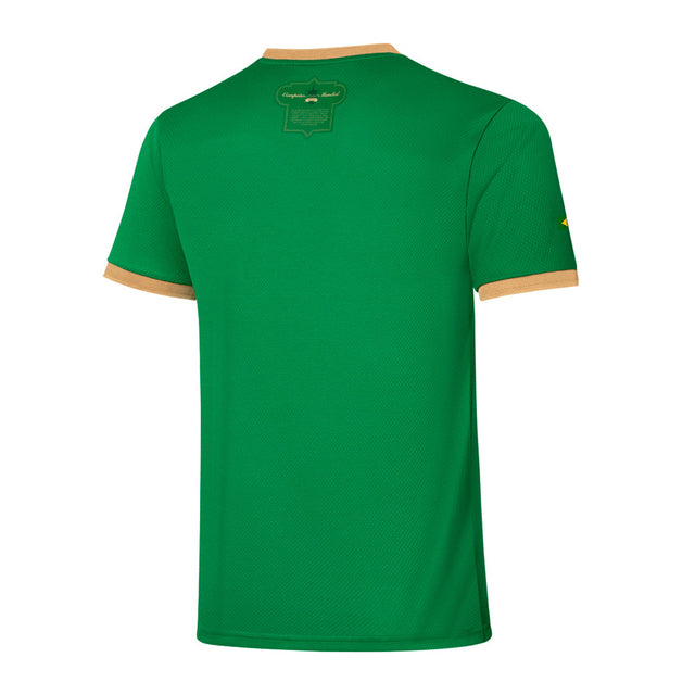 Trikot Palmeiras Edition Comemorativa 70 Jahre Puma - Grün