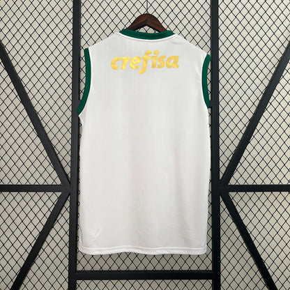 Trikot 24∕25 Vest Palmeiras auswärts 