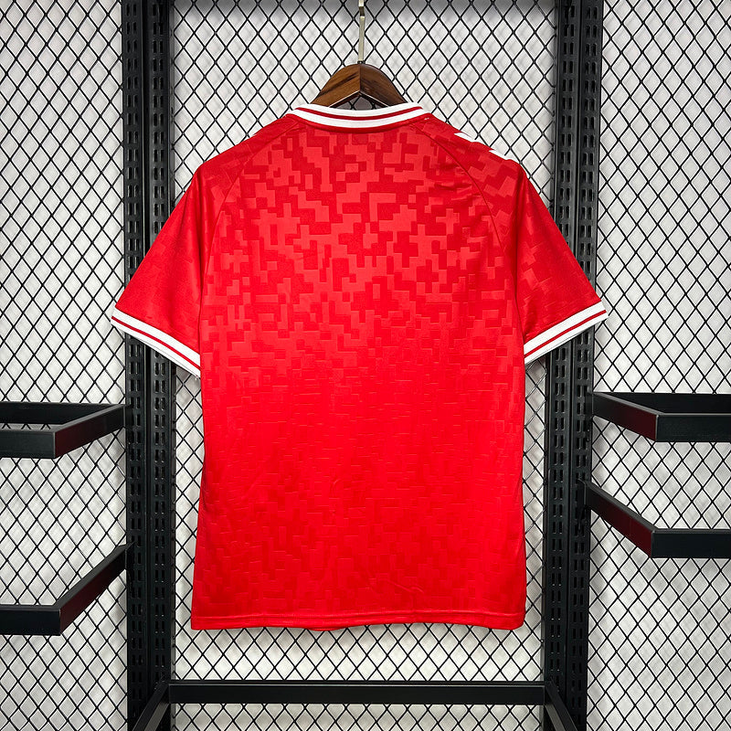 Jersey Seleção Dinamarca 24/25 - Home - Vermelha