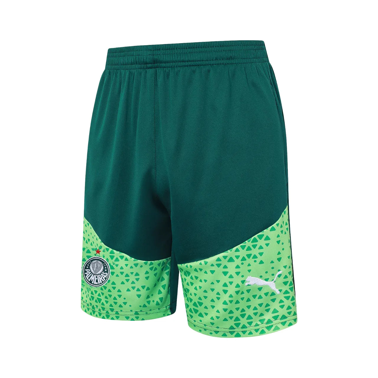 Set Palmeiras Training24/25 - Verde
